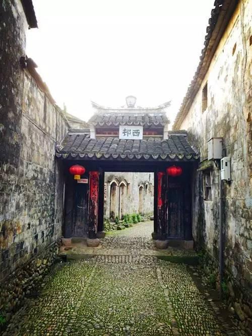 我的“返家乡”实践故事①｜心系家乡 家燕归巢